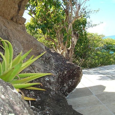 Treehouse Cottage Five Islands Village エクステリア 写真